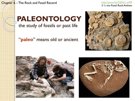 Unearthing the Magical Past: Paleontology's Fascinating Discoveries